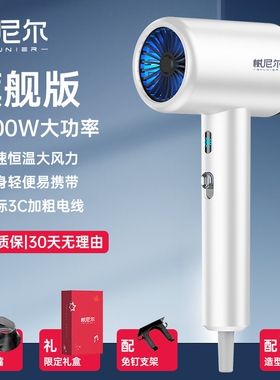 树尼尔吹风机家用大风力理发店发