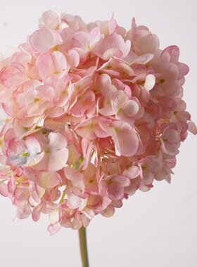 高品质仿真荷兰大枝绣球