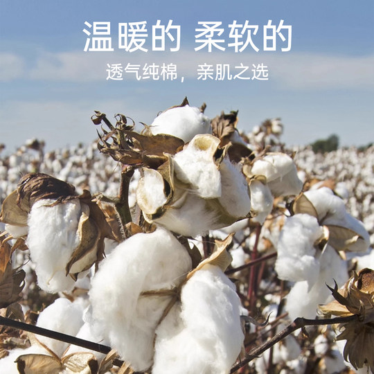 Women's Autumn Pants Pure Cotton 2025 New Line Pants Winter