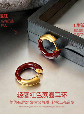 巨好看红色耳环女新款高级轻奢