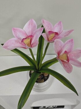 6叶蕙兰花盆栽 仿真花盆栽客厅桌面装饰摆件家居玄关造景仿生植物