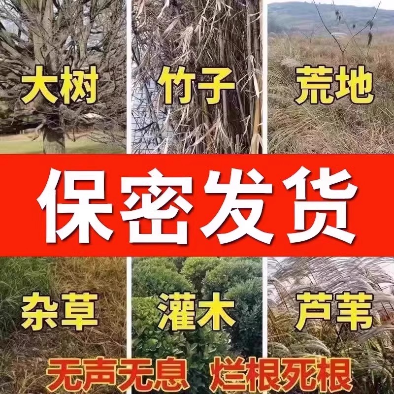 强力去树粉清树根竹子专用大树杂竹荒草灌木彻底干净浓度高见效快-图2