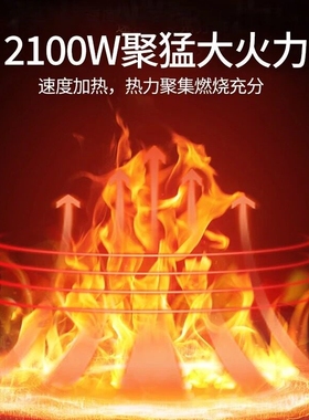 华生电炒锅多功能电炒菜锅蒸炖一