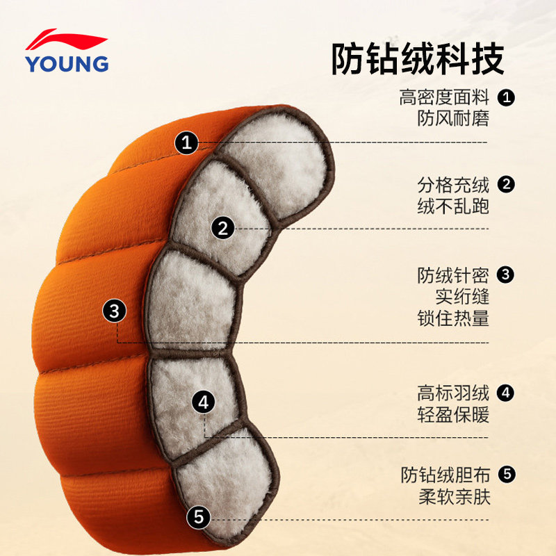 图 5