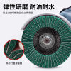 Stainless steel polishing pads with scouring pads for polishing machines