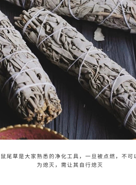 美国进口白鼠尾草净化消磁香薰