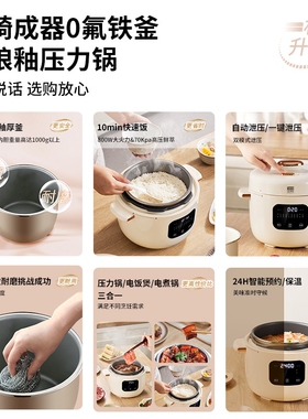日本石崎成器电压力锅10分钟快煮