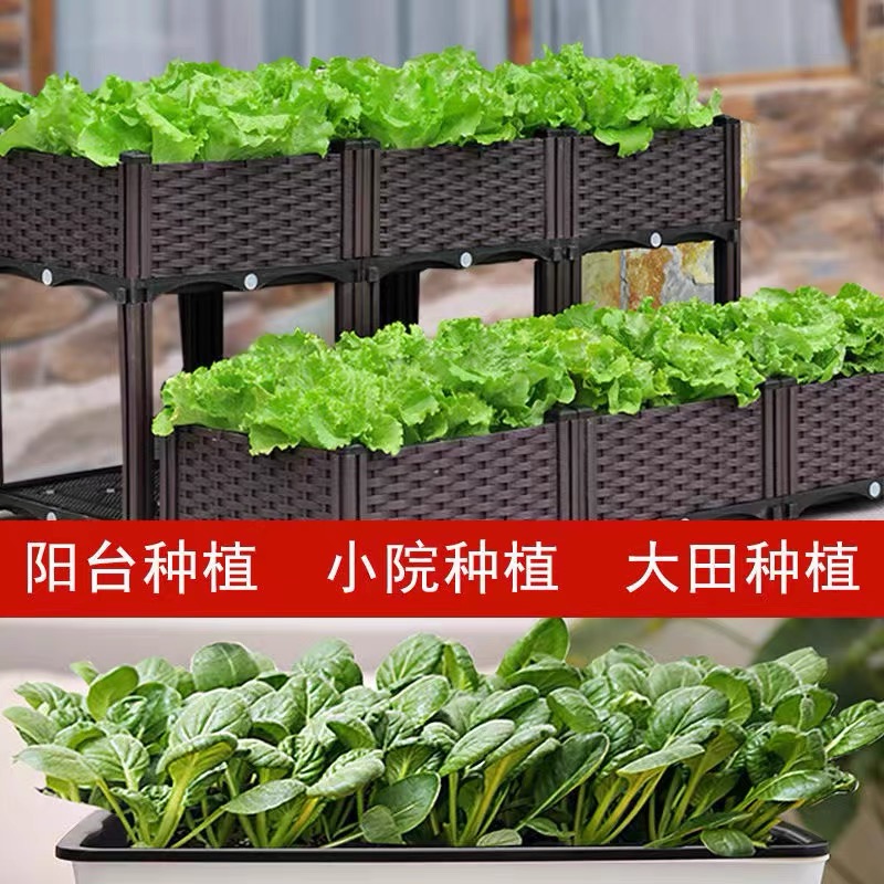 黄瓜种子大全水果黄瓜绿皮蔬菜种籽香菜小葱种植阳台盆栽四季播种 - 图1