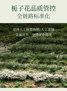 橪栀子花花苞水保湿纯露抗皱紧致