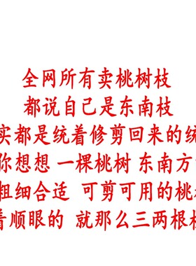 100%正东南老桃木五色绳挂件