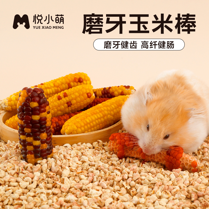 悦小萌仓鼠磨牙棒玉米可食用金丝熊零食用品大全造景解闷小玩具 - 图2