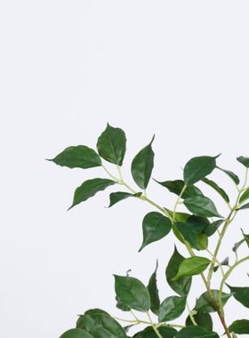 仿真绿植 立体幸福叶 假树叶单支室内家居装饰摆件插花花艺假