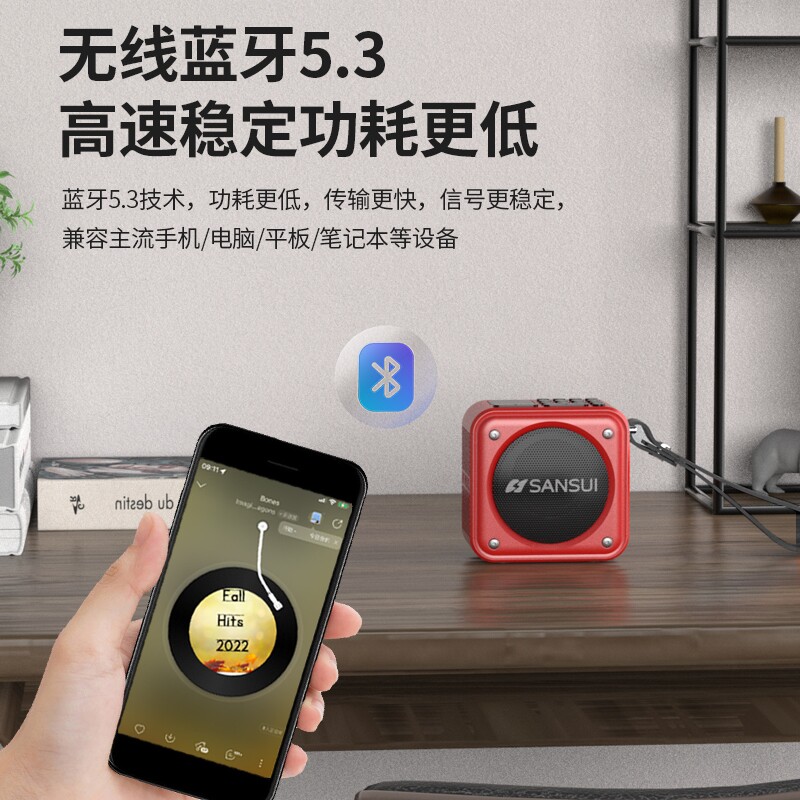 2025新款Sansui/山水 U3蓝牙小型音箱可插卡舞户外音箱u盘便携式 - 图3