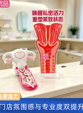 产康店私密护理科普摆件亚克力材质私密紧致原理讲解医患沟通工具