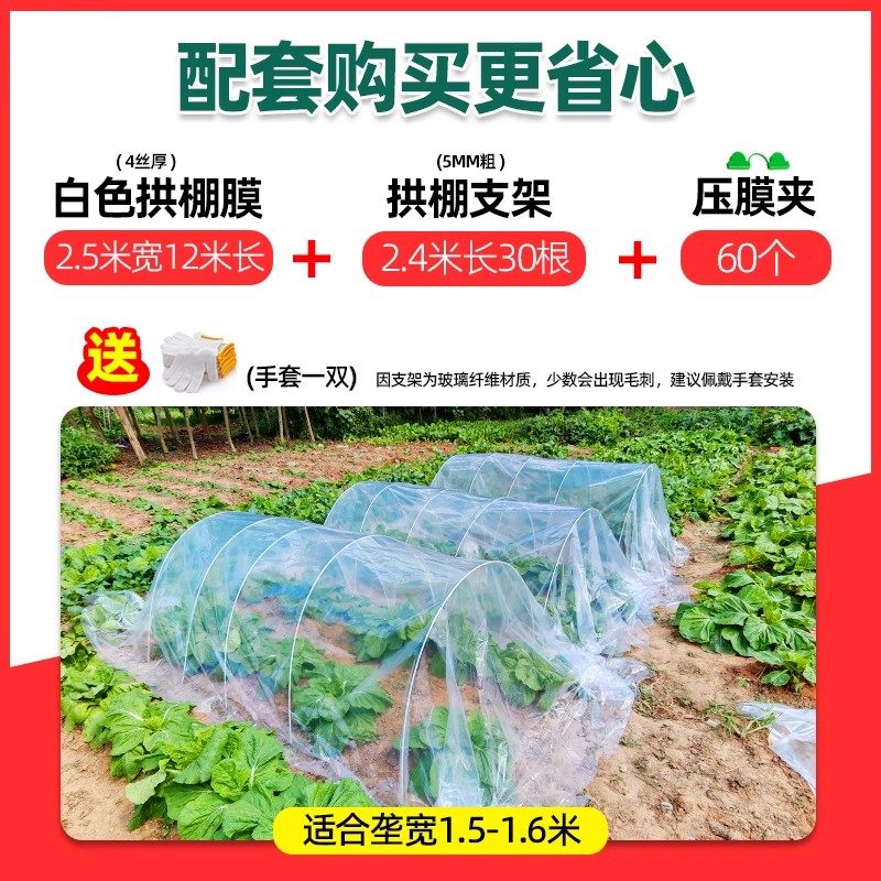 白色大棚膜透明加厚塑料布小拱棚膜薄膜保温农用蔬菜专用育苗防寒,淘宝优惠券,粉丝福利购,淘宝优惠卷