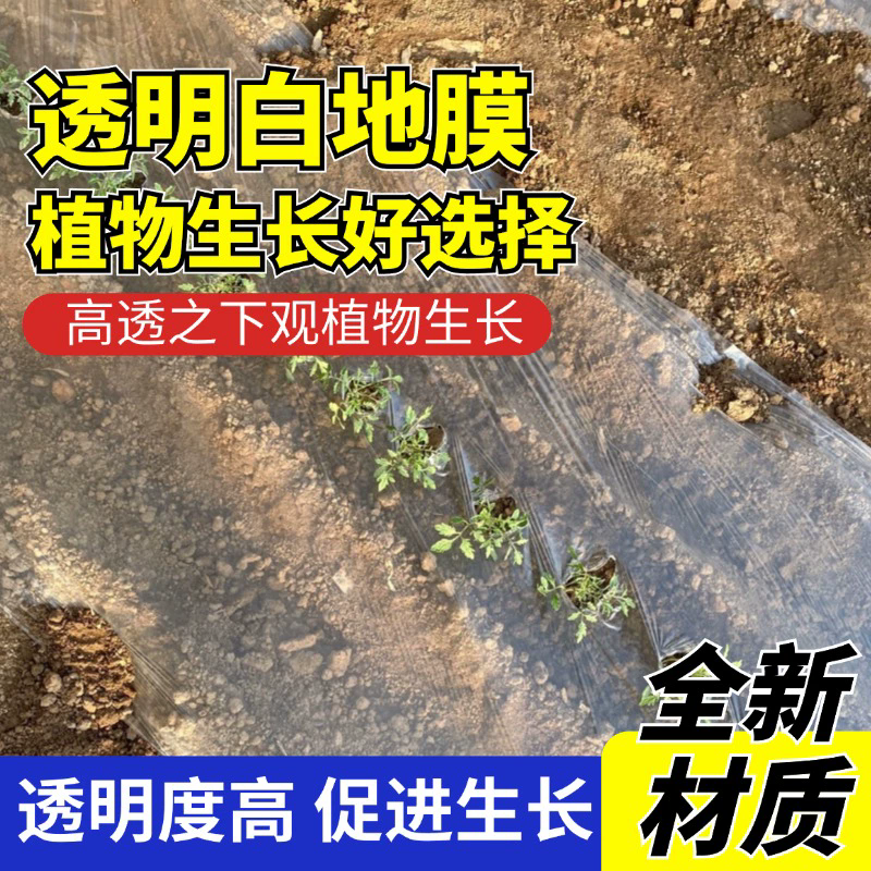 2米宽地膜塑料薄膜白地膜保湿加厚果树蔬菜棚膜草莓银黑双色地膜,淘宝优惠券,粉丝福利购,淘宝优惠卷