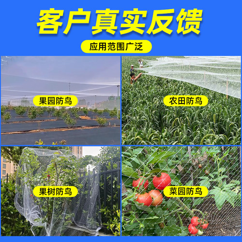 防鸟用尼龙网果园果树防鸟网养殖天网葡萄园樱桃蓝莓护栏防鸟网罩 - 图2