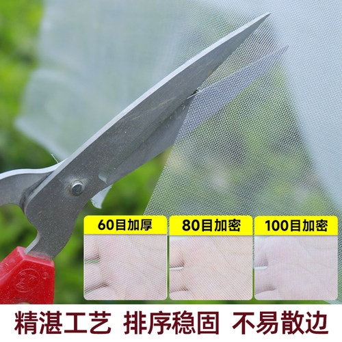 加密防蚊网防晒网窗帘防虫网种菜专用防柳絮果树网加厚罩院子纱网 - 图0