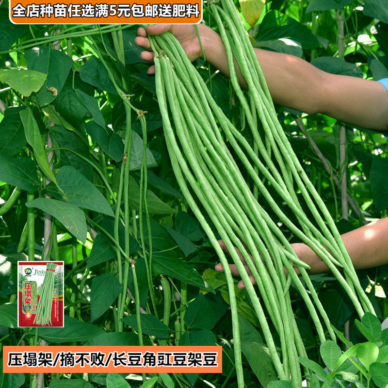 长豇豆角无架豆番茄子眉豆黄瓜丝瓜甜瓜西瓜籽苦瓜四季蔬菜种子孑,淘宝优惠券,粉丝福利购,淘宝优惠卷