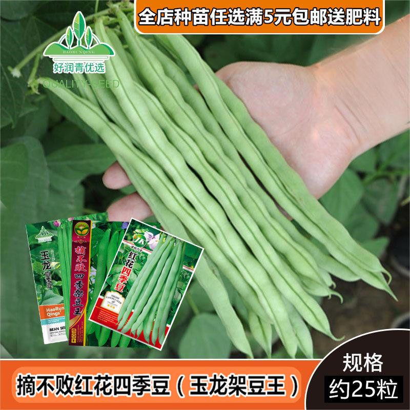 长豇豆角无架豆番茄子眉豆黄瓜丝瓜甜瓜西瓜籽苦瓜四季蔬菜种子孑,淘宝优惠券,粉丝福利购,淘宝优惠卷