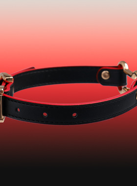 暗黑风黑红撞色马蹄扣项圈