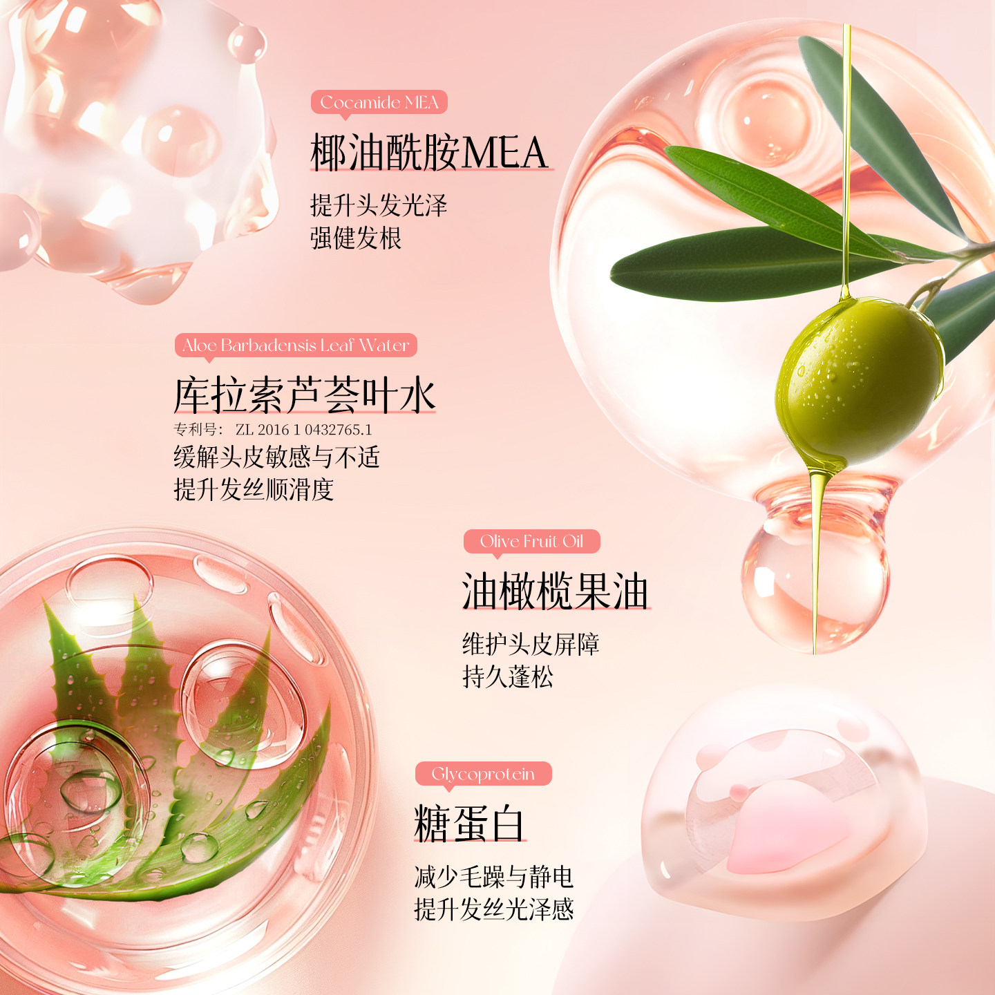 不见不散洗发水蓬松控油去屑止痒青少年女正品植物玫瑰精油洗头膏,淘宝优惠券,粉丝福利购,淘宝优惠卷