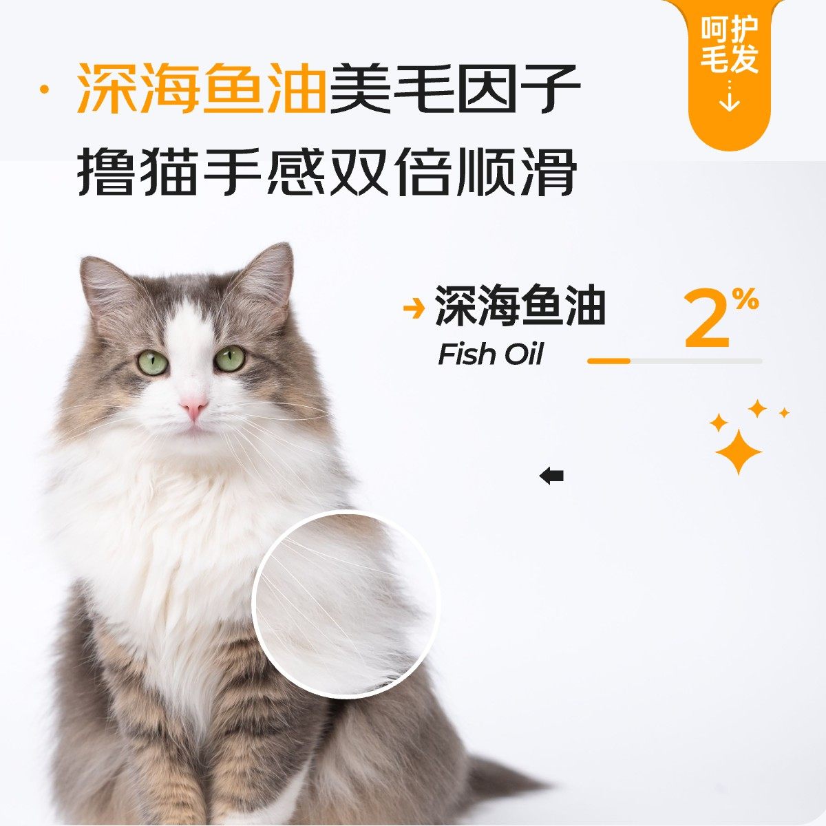 胡须白白Y80猫粮试吃高鲜肉高蛋白健康长肉脂肪更低全价成幼猫,淘宝优惠券,粉丝福利购,淘宝优惠卷