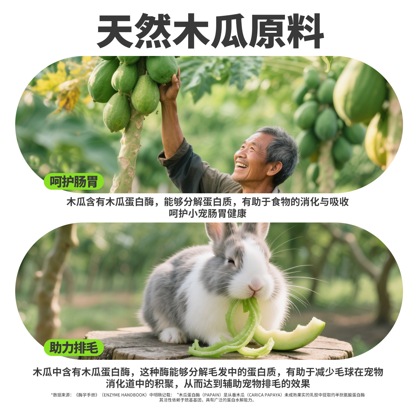 佩安友兔子龙猫青木瓜丝辅助排毛水果木瓜干宠物豚鼠荷兰猪零食用,淘宝优惠券,粉丝福利购,淘宝优惠卷