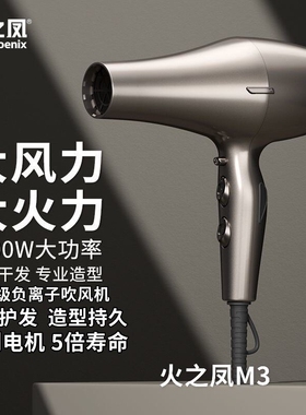 火之凤M3吹风机发型师专用超轻静