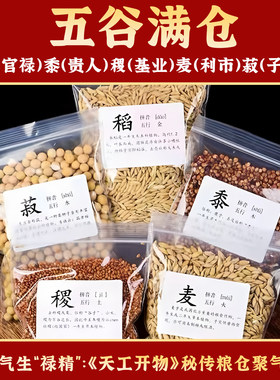 红色陶瓷器鸿运当头聚宝盆摆件中式家居饰品客厅玄关五谷丰登摆件
