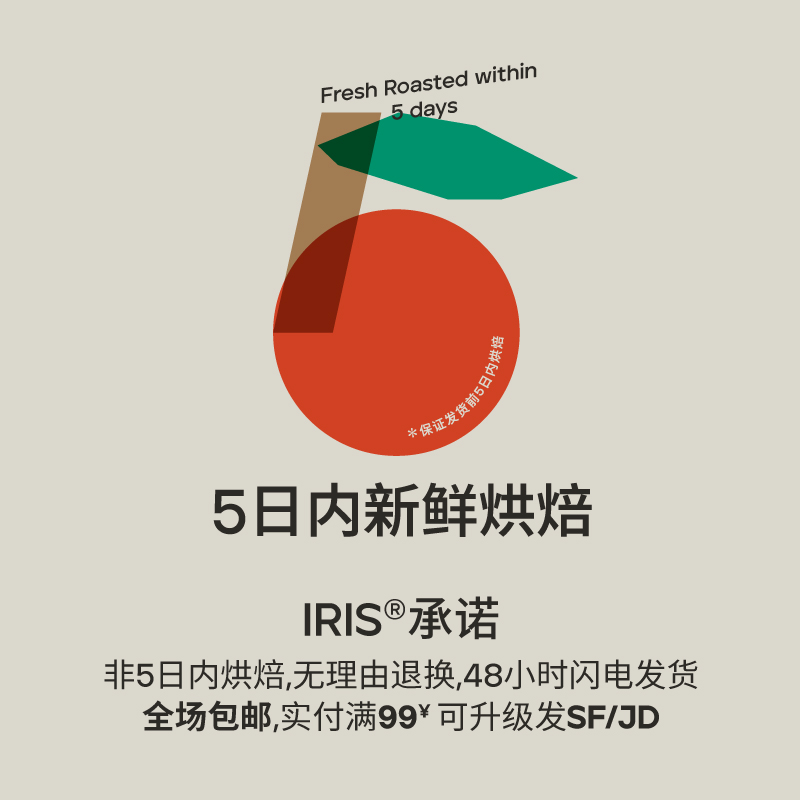IRIS咖啡 巴拿马爱尔维拉庄园绿标瑰夏新产季精品手冲咖啡豆100g