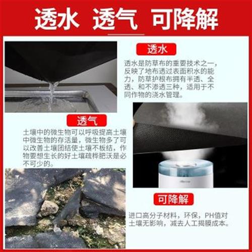 防草布除草布地布果树地钉园艺农用黑色地膜抗老化果园盖草抑草布-图1