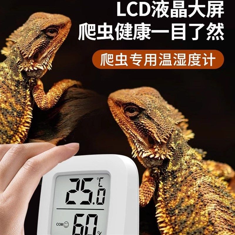 爬宠温湿度计孵化养殖爬虫宠物蛇守宫角蛙M龟变色龙磁吸温度计迷,淘宝优惠券,粉丝福利购,淘宝优惠卷