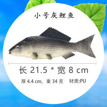 Simulation Fish Model Tropical Fish Fake Red Grey Carp Carp Flat Fish Toy Tuna Marine Animal Decoration Props