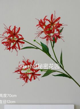 仿真花新款三头彼岸花 风雨兰曼珠沙华地狱花婚庆装饰花 跨境