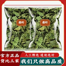 Frost hit dry mulberry leaf cream after frost drop Chinese herbal medicine Herbal Tea Fresh Dried dry goods Milled Mulberry Leaf Pink water