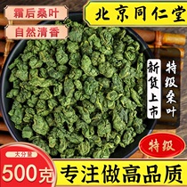Tongrentang Frost Mulberry Leaf Tea 500g Special Class New Stock Cream After dry mulberry leaf Corn shall be matched with bubble water