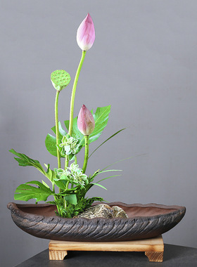 创意米竹文竹造景盆陶瓷家居客厅摆件鲜花插花器微景观多肉花盆