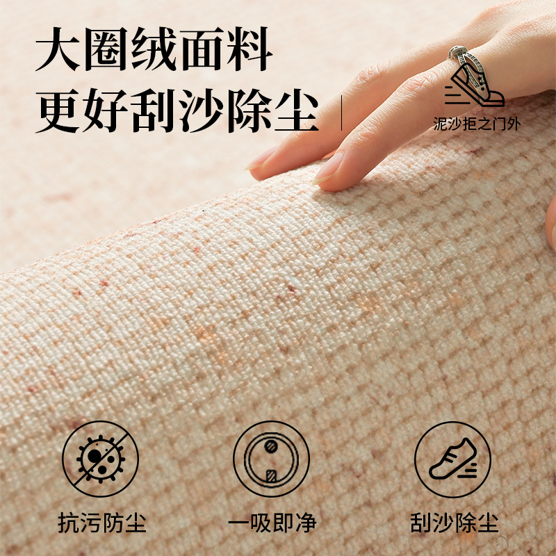 地垫入户门垫新款家用门口进门防滑脚垫室内专用入门地毯门外垫子 - 图0