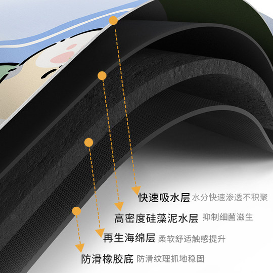浴室地垫吸水卫生间门口专用防滑垫脚垫洗手间硅藻泥垫子厕所地毯