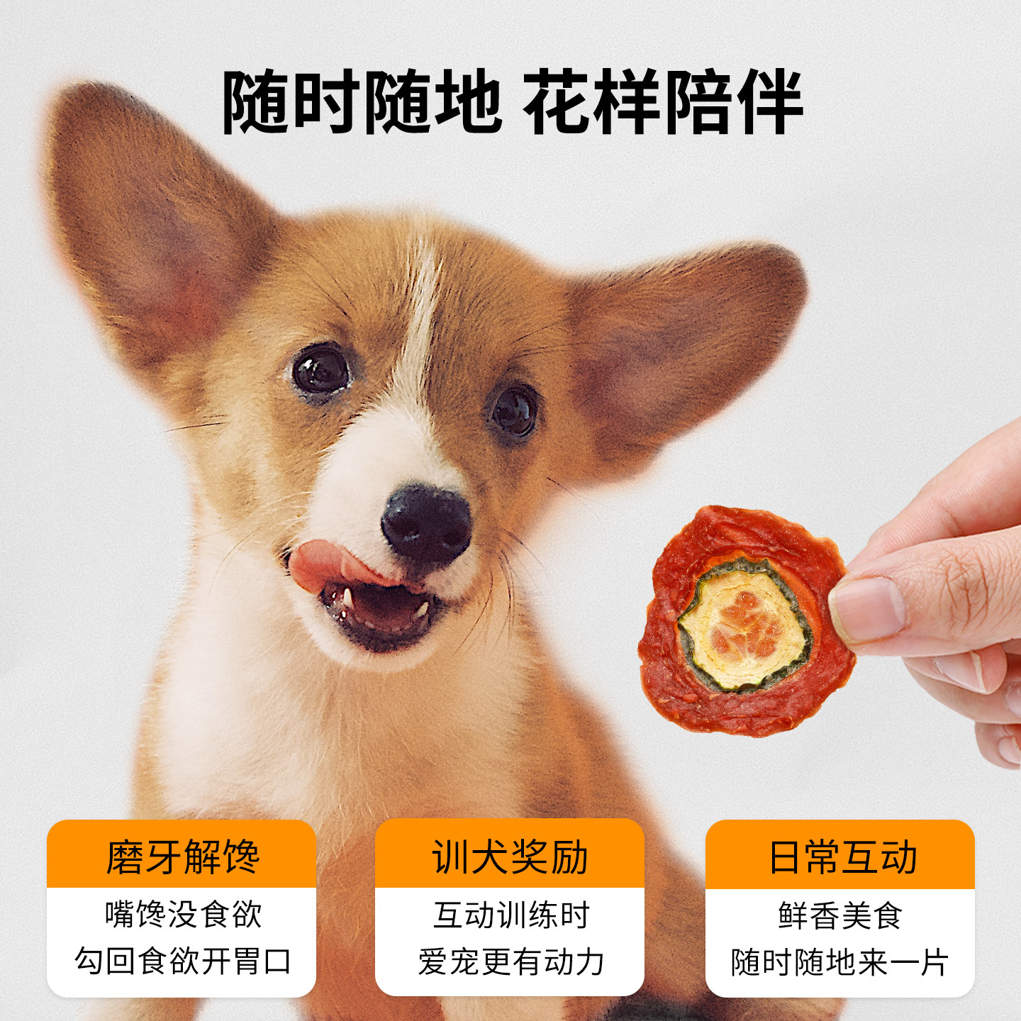 Petlimit狗狗零食大礼包鸡鸭肉干磨牙棒牛皮卷小型犬宠物训练奖励 图 5