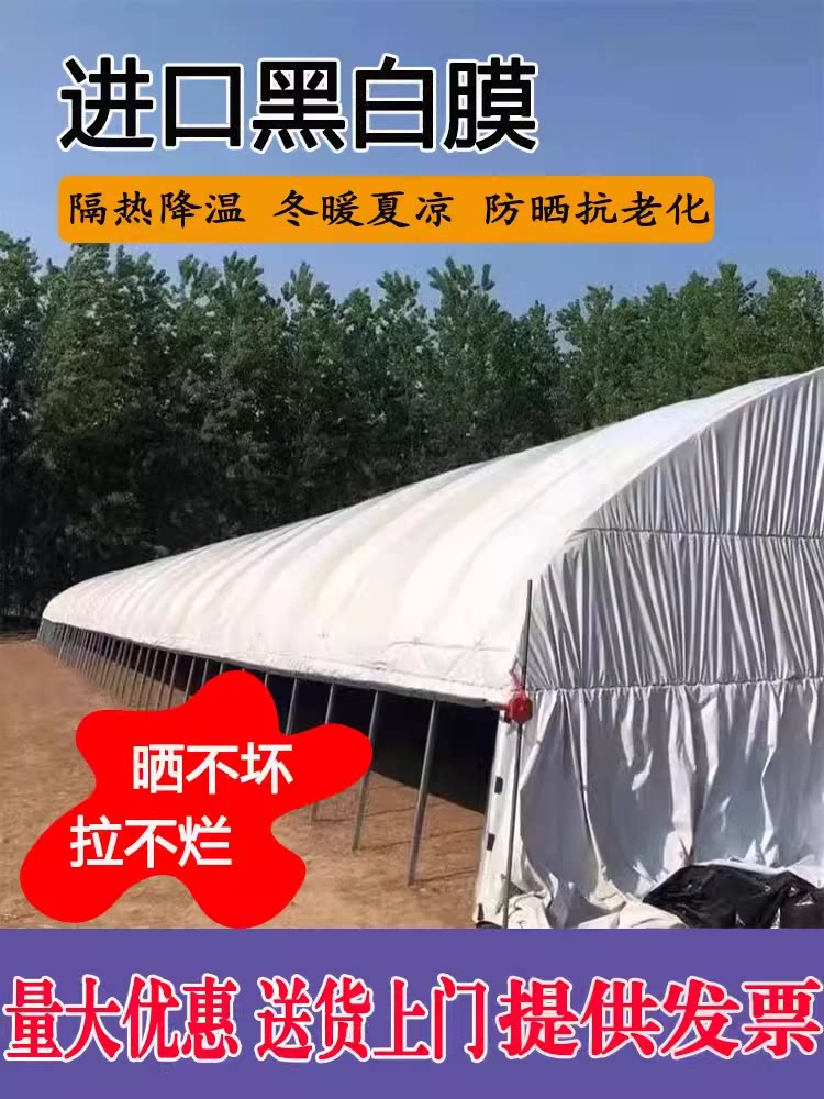 黑白膜加厚防晒青储黑白膜降温隔热反光青储防渗加厚养殖专用棚膜
