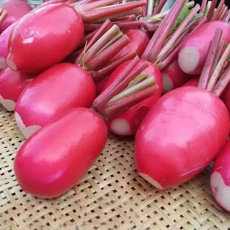 新鲜红皮萝卜9斤装红皮白心萝卜脆嫩腌制泡菜专用时令蔬菜包邮,淘宝优惠券,粉丝福利购,淘宝优惠卷
