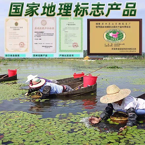 苏州太湖莼菜350g袋装无添加防腐剂火锅凉拌烧汤家庭饭店包邮 - 图1
