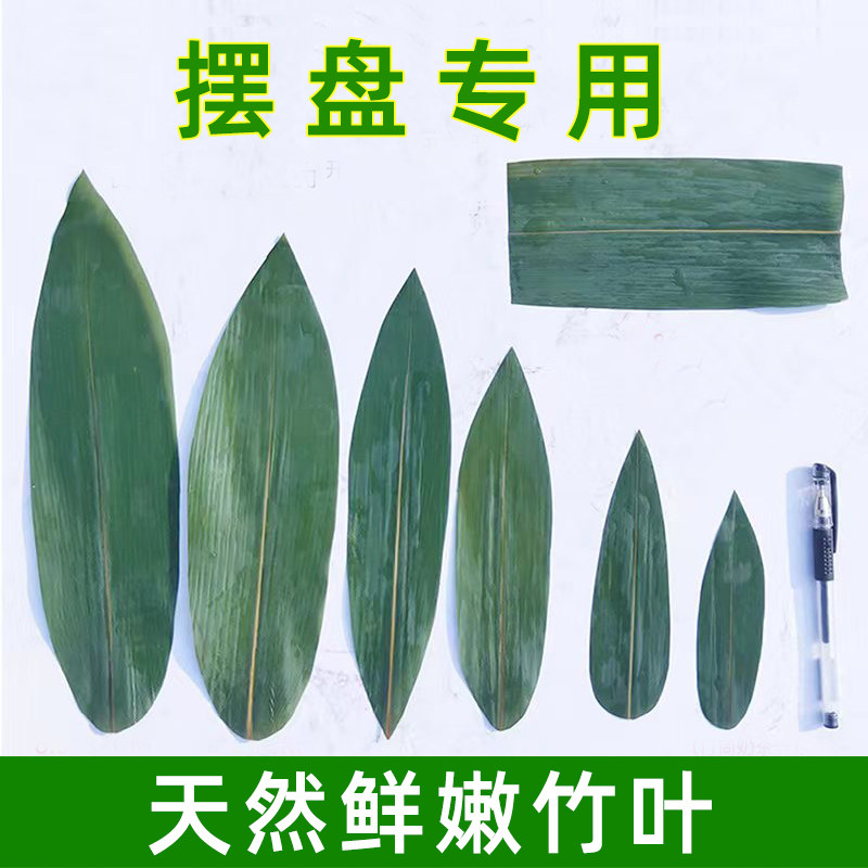 新鲜竹叶子小粽叶刺身摆盘装饰寿司海鲜烤肉三支叶日式本料理高档,淘宝优惠券,粉丝福利购,淘宝优惠卷