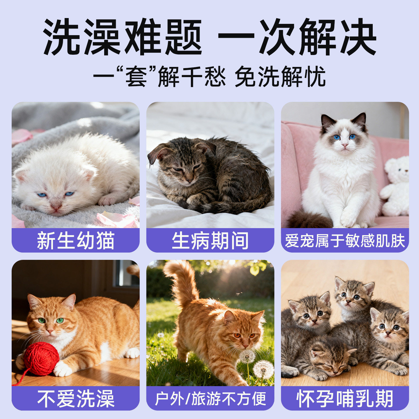 宠物免洗手套猫咪清洁湿巾狗狗用洗澡擦脚擦屁股除臭干洗抑菌防脏,淘宝优惠券,粉丝福利购,淘宝优惠卷