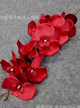 蝴蝶兰仿真花9头蝴蝶兰假花绢花家居婚礼婚庆装饰花艺摆放