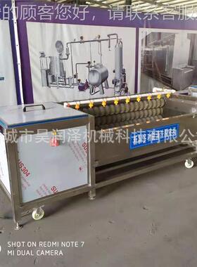 新品应 波浪形毛辊清洗机供 适合不规外壳清则洗 1000洗海鲜类清