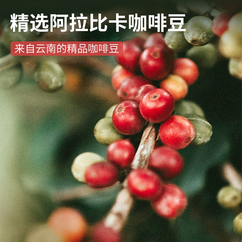 Lanka 掛耳咖啡手沖黑咖啡粉低因美意式耶加雪菲曼特寧咖啡粉盒裝_Lanka咖啡旗艦店_咖啡/麥片/沖飲
