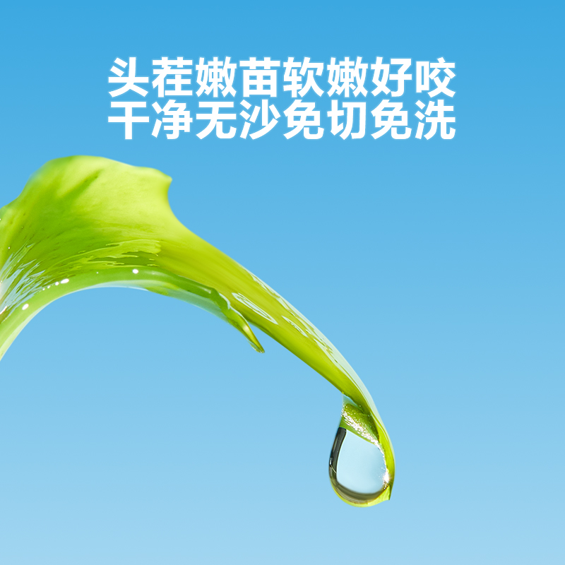窝小芽配菜儿童裙带菜干货无沙免洗高钙高蛋白独立小包装便携